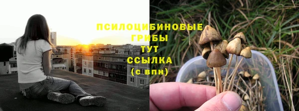 mix Гусь-Хрустальный