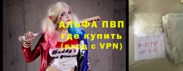 ПСИЛОЦИБИНОВЫЕ ГРИБЫ Горно-Алтайск