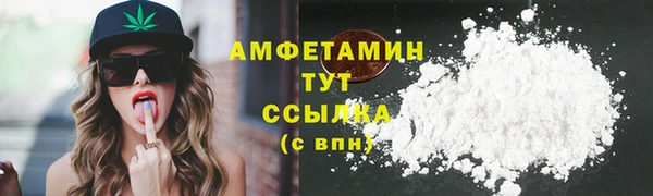 ПСИЛОЦИБИНОВЫЕ ГРИБЫ Горно-Алтайск