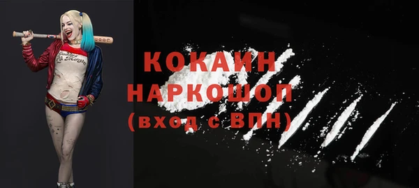 ПСИЛОЦИБИНОВЫЕ ГРИБЫ Горно-Алтайск