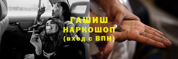 ПСИЛОЦИБИНОВЫЕ ГРИБЫ Горно-Алтайск