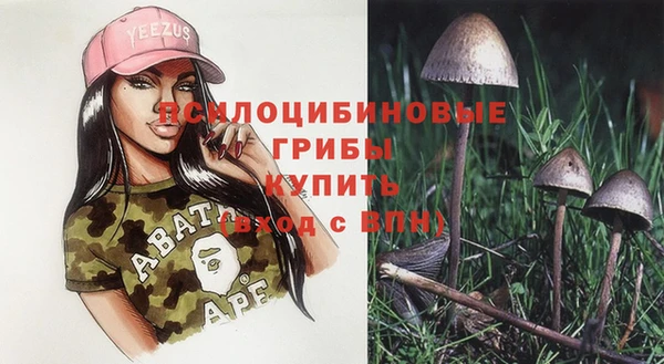 ПСИЛОЦИБИНОВЫЕ ГРИБЫ Горно-Алтайск