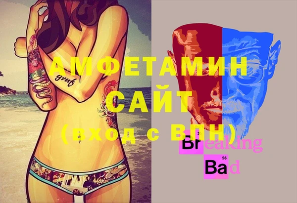 ПСИЛОЦИБИНОВЫЕ ГРИБЫ Горно-Алтайск