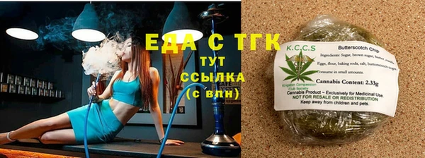 ПСИЛОЦИБИНОВЫЕ ГРИБЫ Горно-Алтайск
