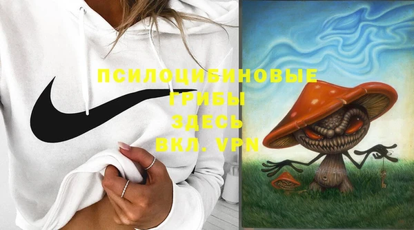 соль курить ск Горнозаводск