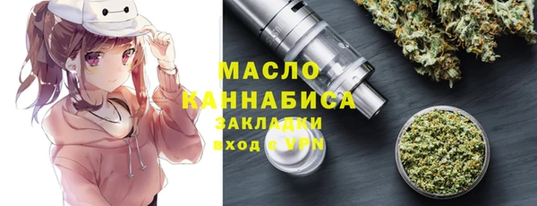 гашик Билибино