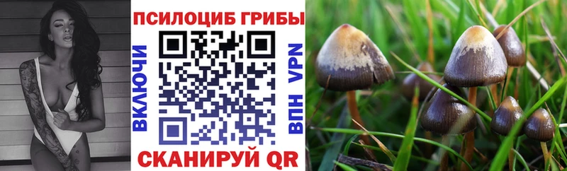 ссылка на мегу ССЫЛКА  Ейск  Псилоцибиновые грибы MAGIC MUSHROOMS 